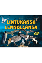 Lintukansa lennollansa