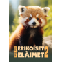 Erikoiset eläimet 2